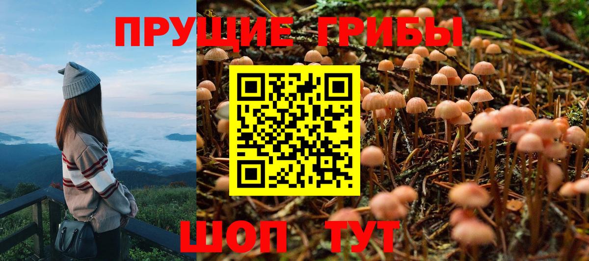 Галлюциногенные грибы ЛСД  Вход с VPN  Родники 